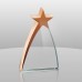 936 New Star Award